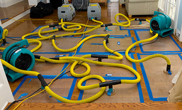 Professional Crawl Space Water Removal technician working in East Norwich, NY